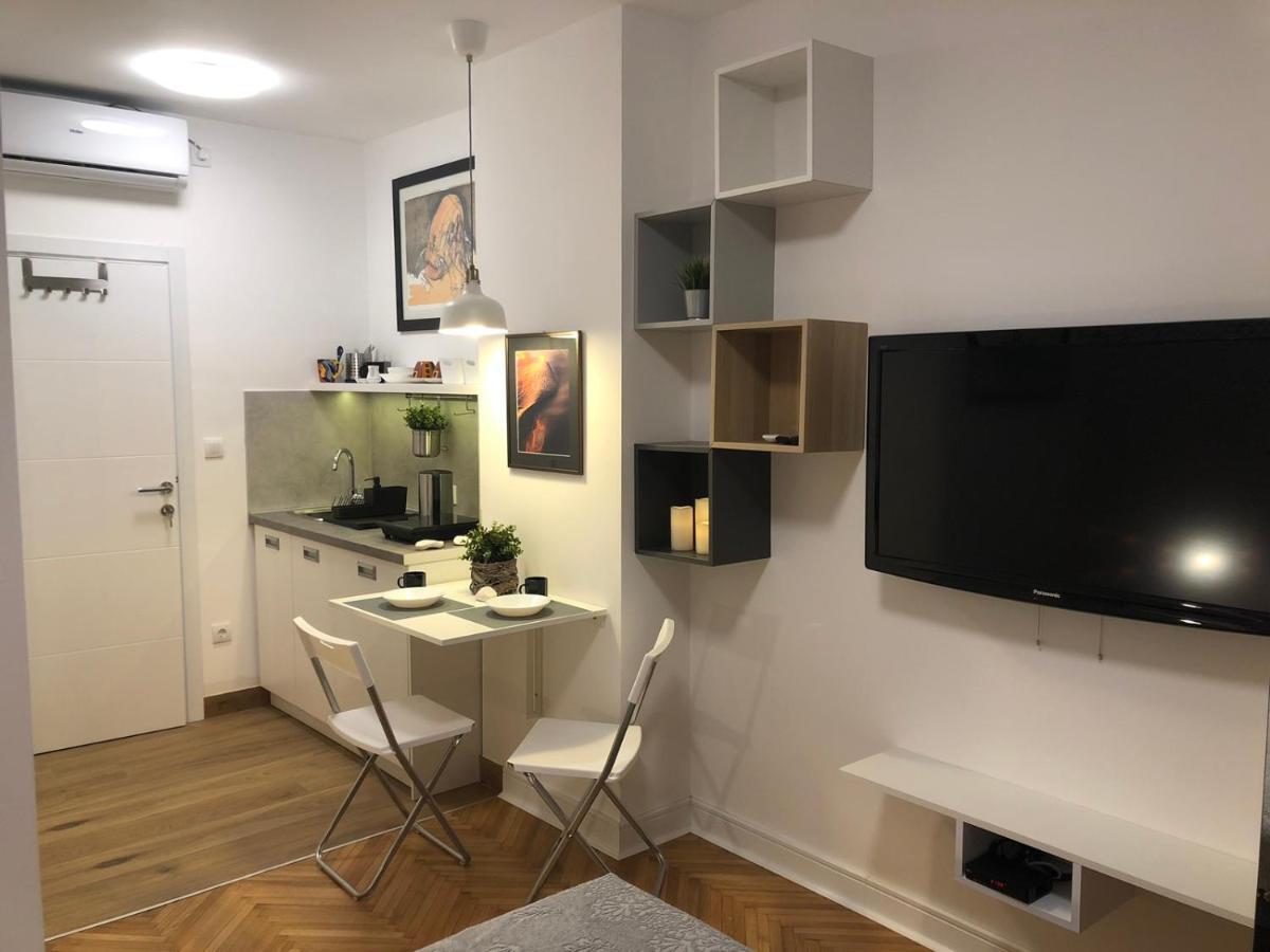 Vracar Apartment Belgrade Exterior photo